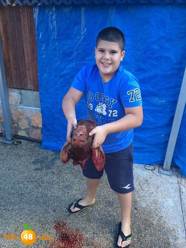 dabe7 ludj31 (71).jpg